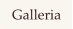 Galleria
