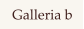 Galleria b